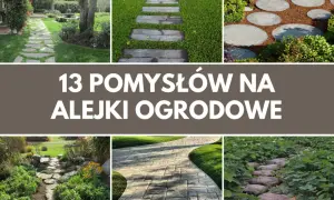 Kamienne, drewniane i okrągłe ścieżki w ogrodzie. Inspiracje na alejki ogrodowe.