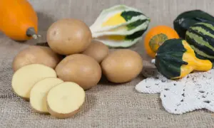 Ziemniaki Jurek, dynie i ozdobne tykwy na płótnie. Kilka ziemniaków pokrojonych w plastry.