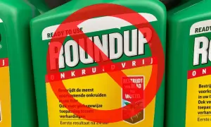 Butelki Roundup z przekreślonym znakiem zakazu. Wskazuje to na potencjalną szkodliwość Roundup dla ludzi i środowiska.