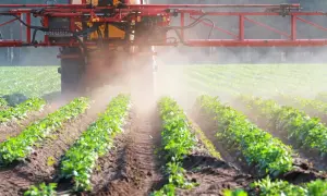 Traktor opryskuje pole ziemniaków. Zastanawiasz się, jak długo Roundup pozostaje w glebie po takim zabiegu?