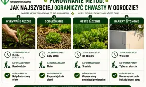 Porównanie metod ograniczania chwastów: ręczne usuwanie, ściółkowanie, gęste sadzenie i bariery betonowe. Ręczne usuwanie daje natychmiastowy efekt, ale wymaga dużo pracy.