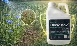 Chwastox Trio Nowy dawkowanie: oprysk zwalczający chwasty dwuliścienne, chroniący zboża i tereny zielone. Efektywna ochrona upraw.