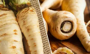 Dwa pasternaki na płótnie i kilka na drewnianej desce. Pasternak a pietruszka – podobne, ale jakże różne w smaku.
