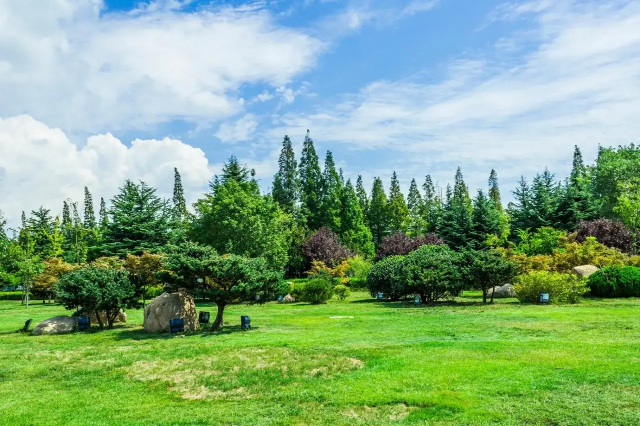 Piękny park z różnymi sosnami odmiany i innymi drzewami, pod błękitnym niebem z chmurami.