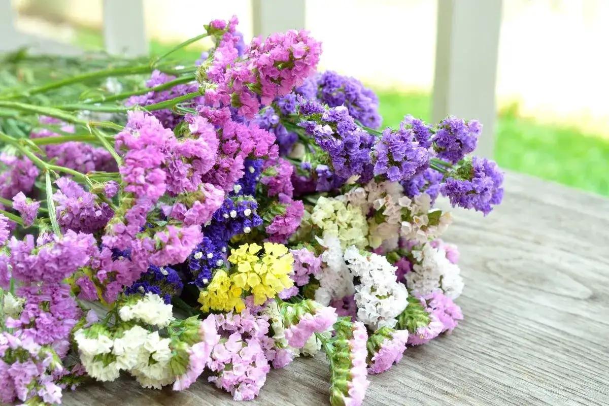 Bukiet kolorowych kwiatów limonium w odcieniach fioletu, różu, bieli i żółci leży na drewnianym blacie.