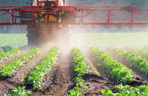 Traktor opryskuje pole ziemniaków. Zastanawiasz się, jak długo Roundup pozostaje w glebie po takim zabiegu?